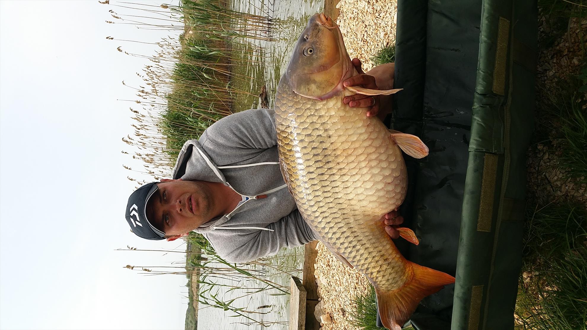 pescuit - 201505161116371.jpg